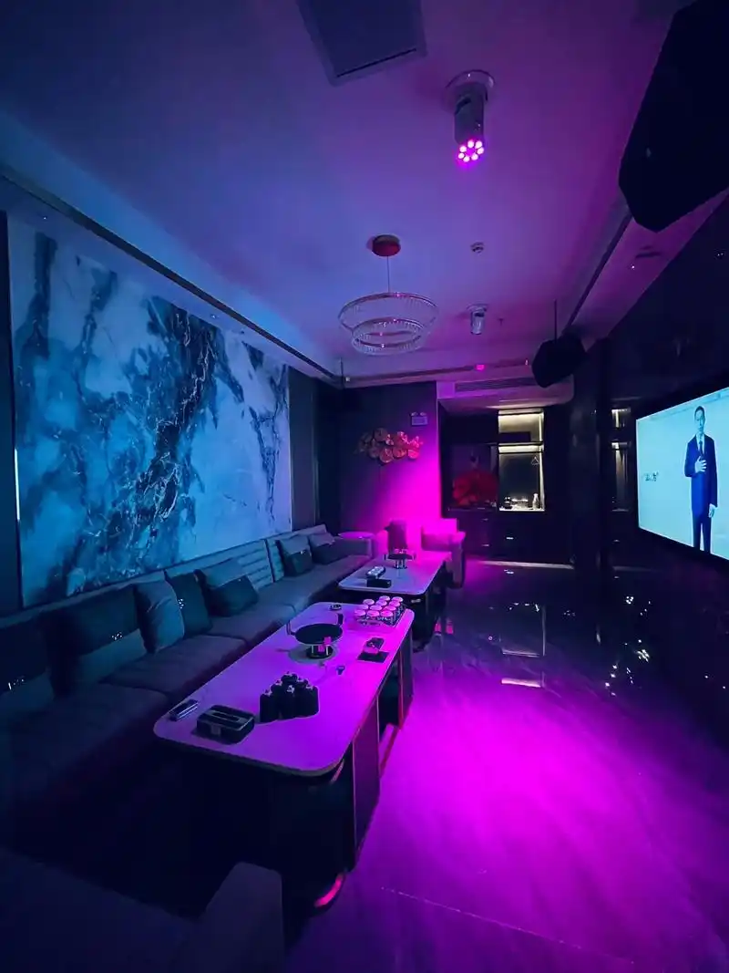 盐城商务ktv及商务ktv什么意思解析-阜宁县ktv预定